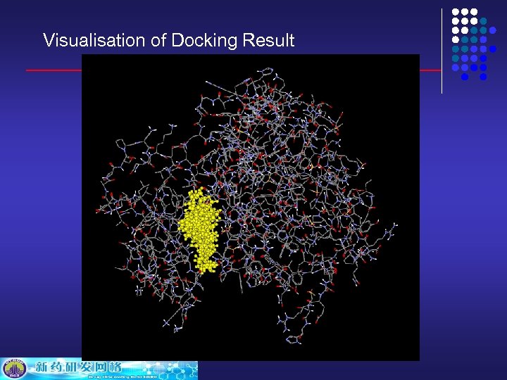 Visualisation of Docking Result 