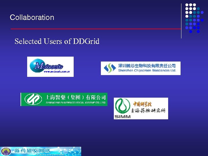 Collaboration Selected Users of DDGrid 