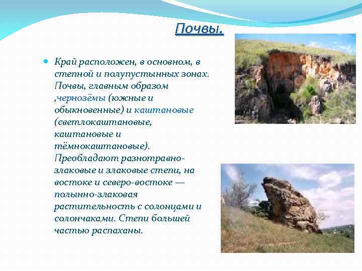 Почвы. Край расположен, в основном, в степной и полупустынных зонах. Почвы, главным образом ,