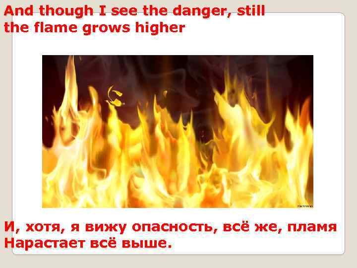 And though I see the danger, still the flame grows higher И, хотя, я