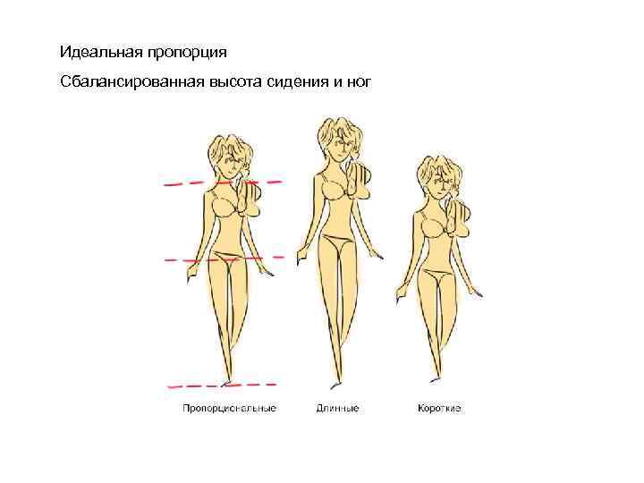 Идеальная пропорция Сбалансированная высота сидения и ног 