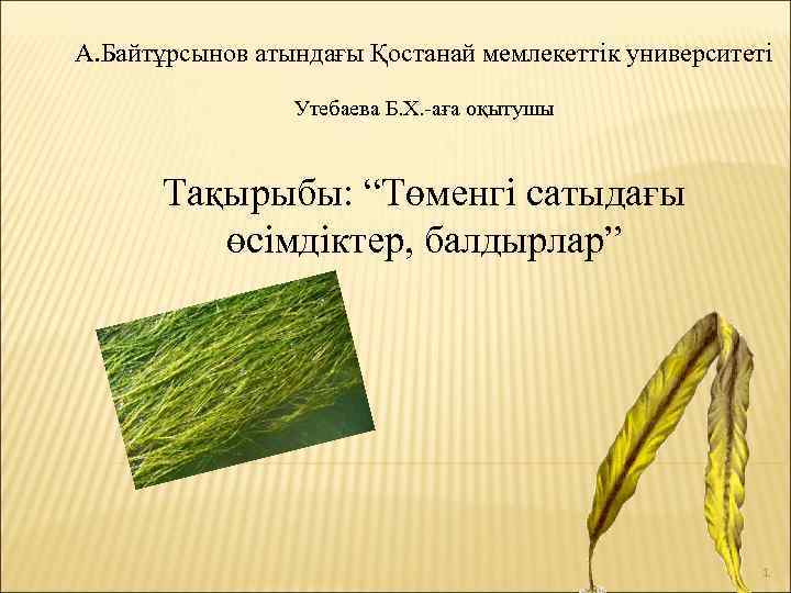 А. Байтұрсынов атындағы Қостанай мемлекеттік университеті Утебаева Б. Х. -аға оқытушы Тақырыбы: “Төменгі сатыдағы
