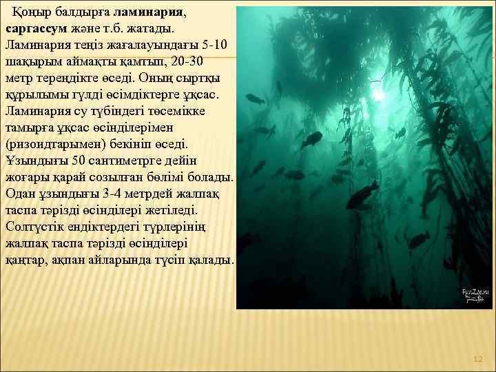 Қоңыр балдырға ламинария, саргассум және т. б. жатады. Ламинария теңіз жағалауындағы 5 -10 шақырым