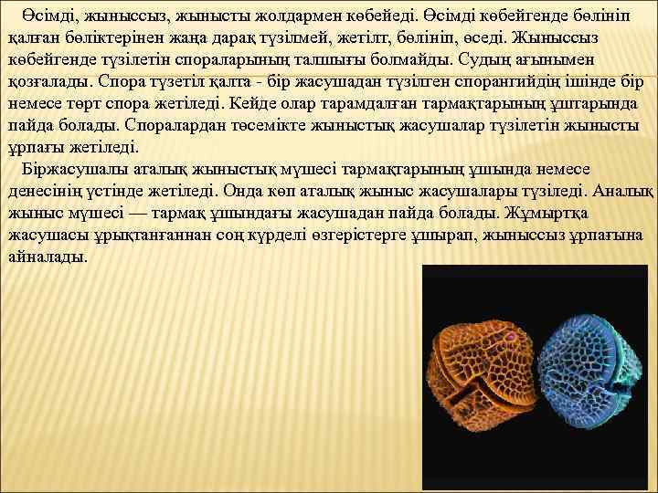 Өсімді, жыныссыз, жынысты жолдармен көбейеді. Өсімді көбейгенде бөлініп қалған бөліктерінен жаңа дарақ түзілмей, жетілт,