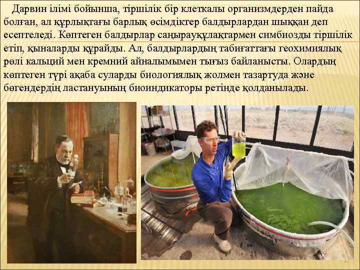 Дарвин ілімі бойынша, тіршілік бір клеткалы организмдерден пайда болған, ал құрлықтағы барлық өсімдіктер балдырлардан