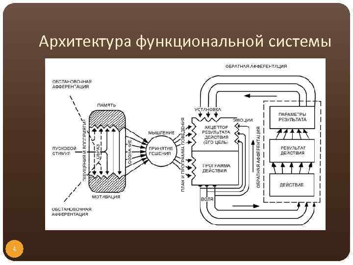 Архитектура функциональной системы 4 