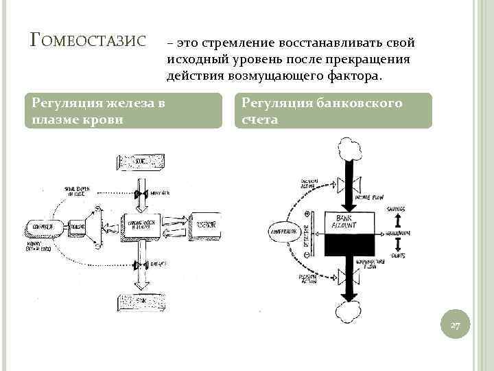 ГОМЕОСТАЗИС Регуляция железа в плазме крови – это стремление восстанавливать свой исходный уровень после