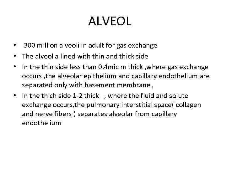 ALVEOL • 300 million alveoli in adult for gas exchange • The alveol a