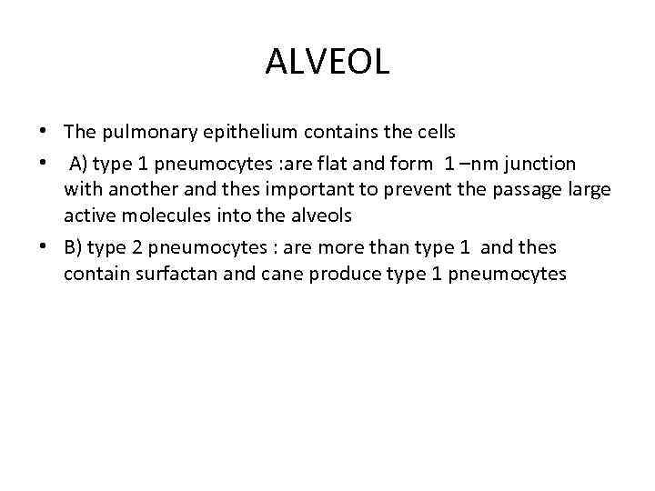 ALVEOL • The pulmonary epithelium contains the cells • A) type 1 pneumocytes :