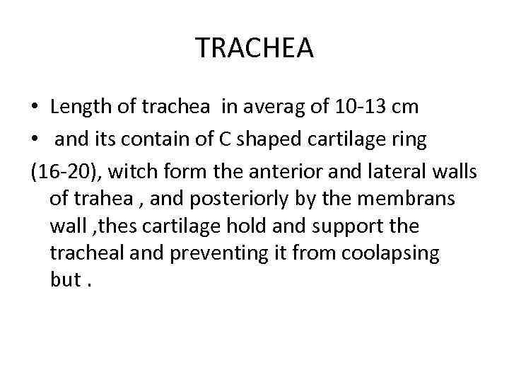TRACHEA • Length of trachea in averag of 10 -13 cm • and its