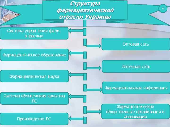 Основные принципы руководства организации