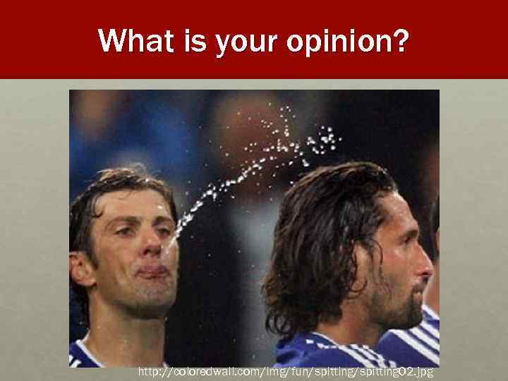 What is your opinion? http: //coloredwall. com/img/fun/spitting 02. jpg 