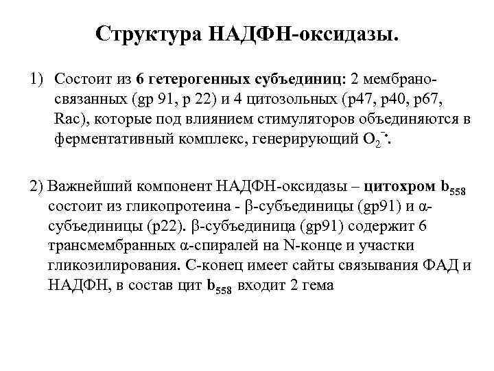 Структура НАДФН-оксидазы. 1) Состоит из 6 гетерогенных субъединиц: 2 мембраносвязанных (gp 91, p 22)