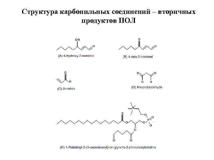 Структура карбонильных соединений – вторичных продуктов ПОЛ 