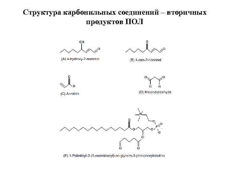 Первичные соединения и вторичные соединения