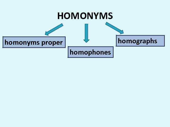 HOMONYMS homographs homonyms proper homophones 