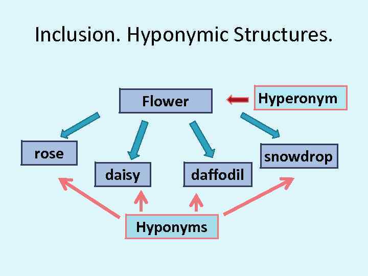 Inclusion. Hyponymic Structures. Hyperonym Flower rose daisy daffodil Hyponyms snowdrop 