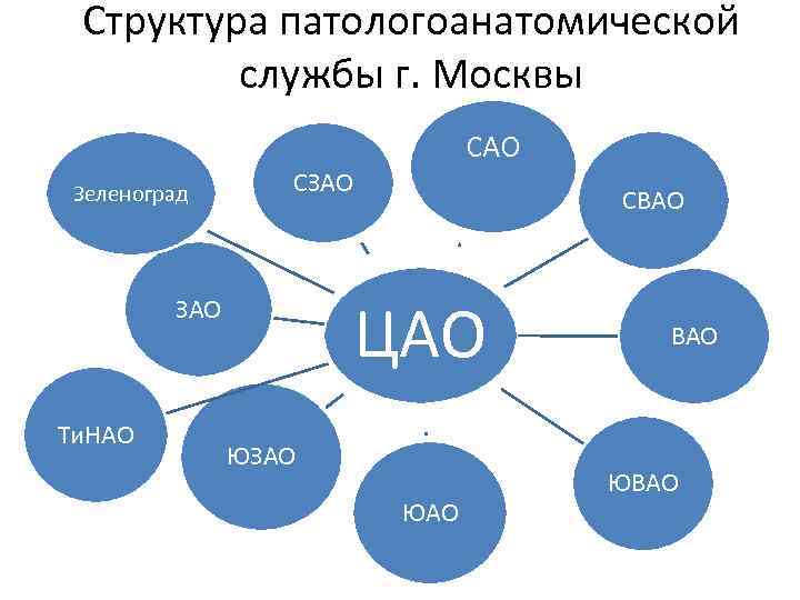Структура патологоанатомической службы г. Москвы САО Зеленоград СЗАО ЦАО ЗАО Ти. НАО СВАО ЮЗАО