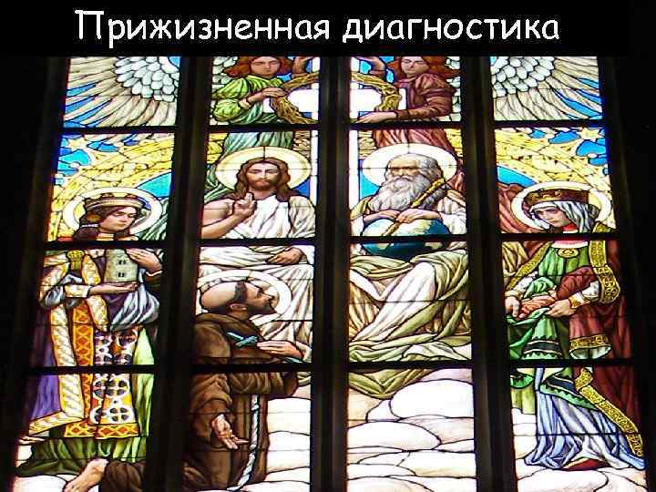 Прижизненная диагностика 