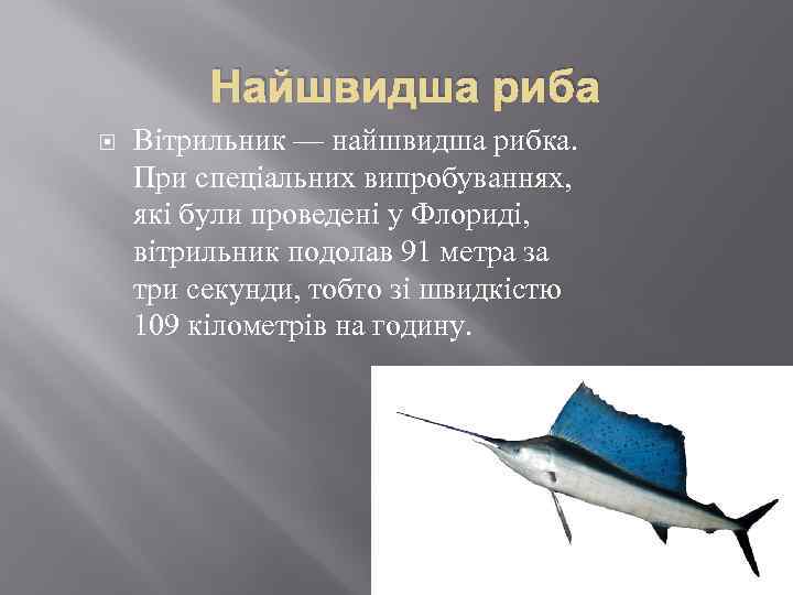 Найшвидша риба Вітрильник — найшвидша рибка. При спеціальних випробуваннях, які були проведені у Флориді,