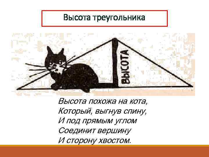 Высота треугольника Высота похожа на кота, Который, выгнув спину, И под прямым углом Соединит