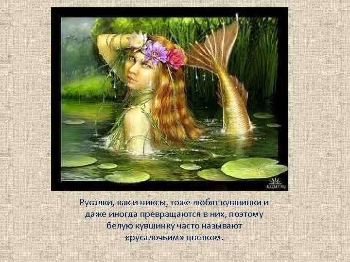 Русалки, как и никсы, тоже любят кувшинки и даже иногда превращаются в них, поэтому