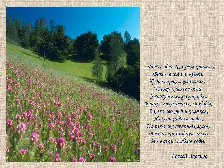 Есть, однако, примиритель, Вечно юный и живой, Чудотворец и целитель, Ухожу к нему порой.