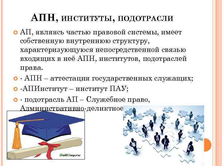 АПН, ИНСТИТУТЫ, ПОДОТРАСЛИ АП, являясь частью правовой системы, имеет собственную внутреннюю структуру, характеризующуюся непосредственной