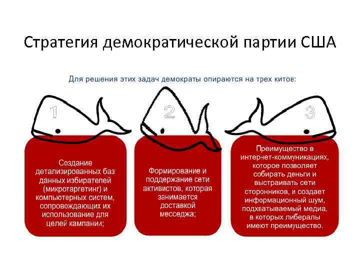 Стратегия демократической партии США 