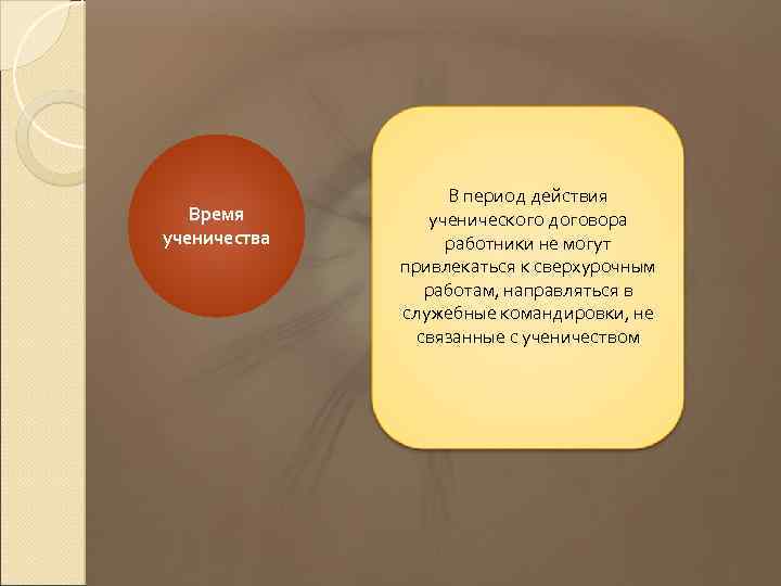 Время ученичества В период действия ученического договора работники не могут привлекаться к сверхурочным работам,