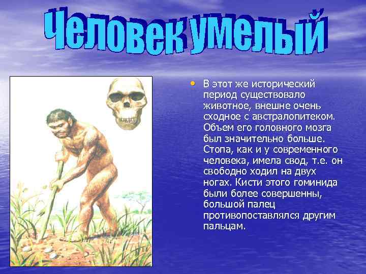  • В этот же исторический период существовало животное, внешне очень сходное с австралопитеком.