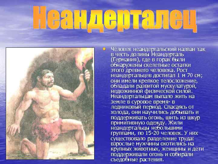  • Человек неандертальский назван так в честь долины Неандерталь (Германия), где в горах