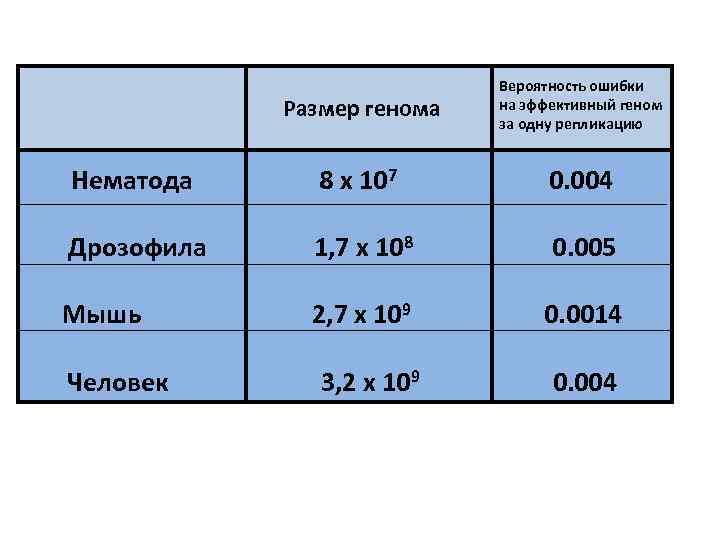 Размер генома Вероятность ошибки на эффективный геном за одну репликацию Нематода 8 х 107