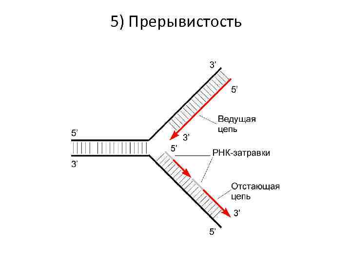 5) Прерывистость 