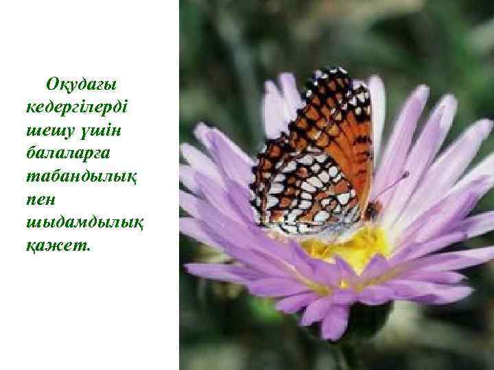 Оқудағы кедергілерді шешу үшін балаларға табандылық пен шыдамдылық қажет. 
