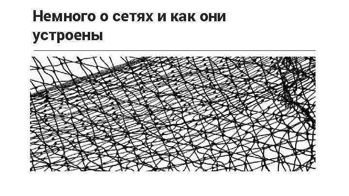 Немного о сетях и как они устроены 