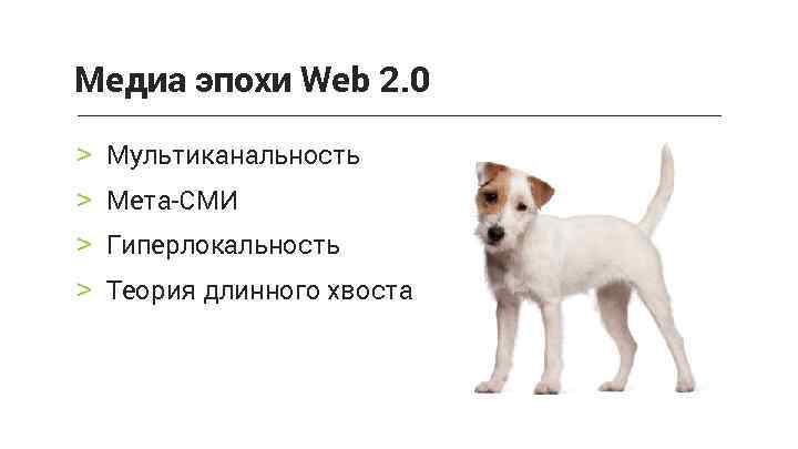 Медиа эпохи Web 2. 0 > Мультиканальность > Мета-СМИ > Гиперлокальность > Теория длинного