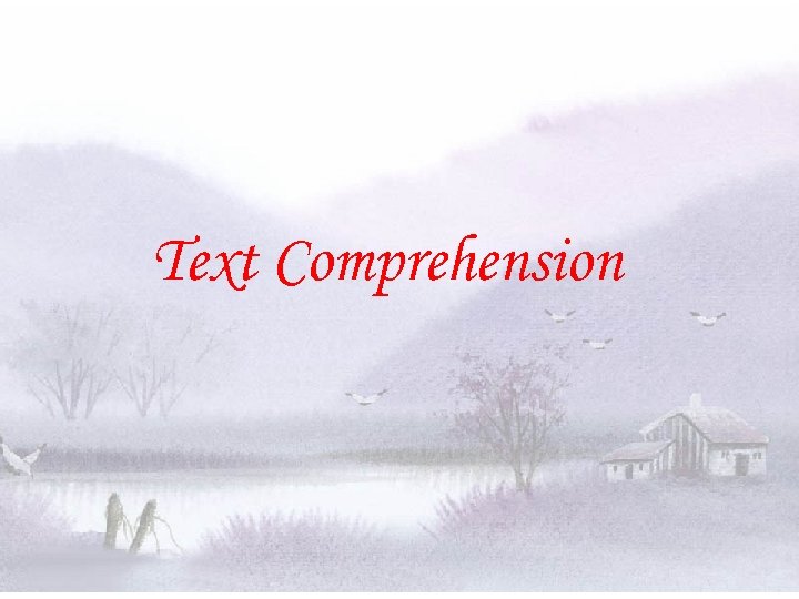 Text Comprehension 