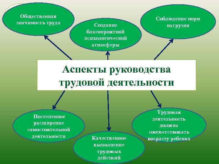 Общественная значимость труда Создание благоприятной психологической атмосферы Соблюдение норм нагрузки Аспекты руководства трудовой деятельности