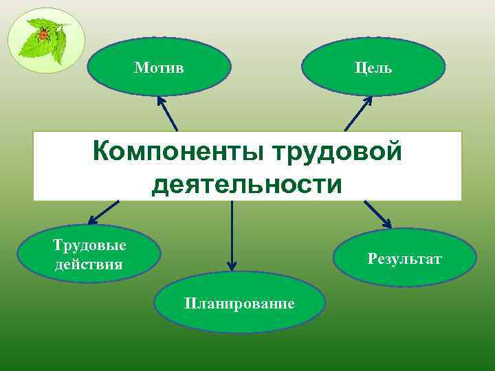 Мотив Цель Компоненты трудовой деятельности Трудовые действия Результат Планирование 