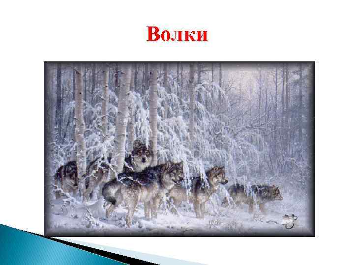 Волки 