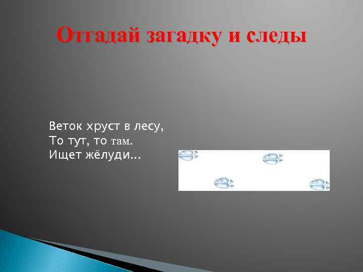 Отгадай загадку и следы Веток хруст в лесу, То тут, то там. Ищет жёлуди.