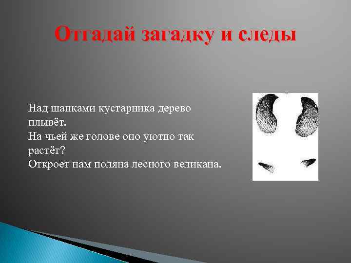 Отгадай загадку и следы Над шапками кустарника дерево плывёт. На чьей же голове оно