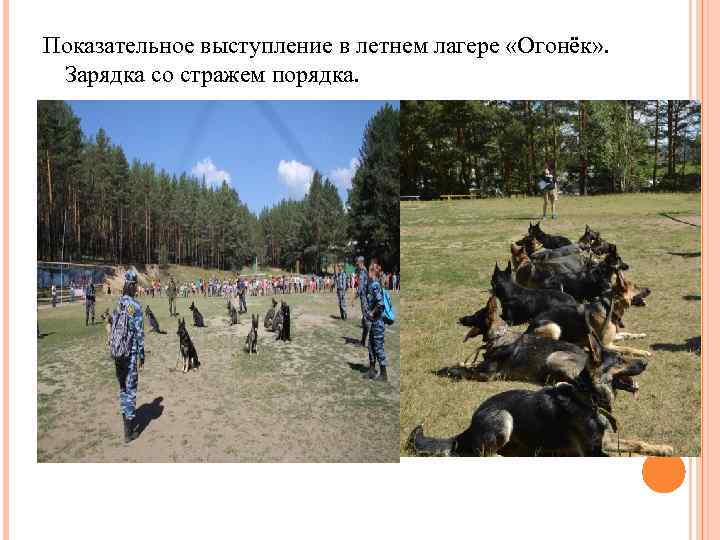 Показательное выступление в летнем лагере «Огонёк» . Зарядка со стражем порядка. 