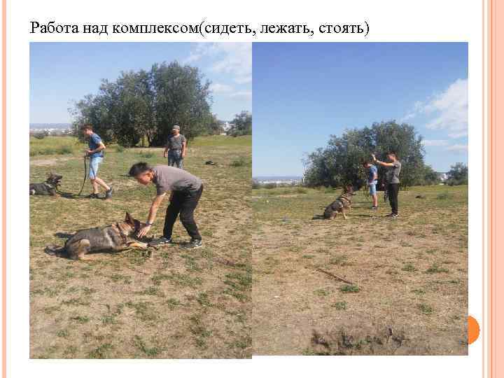 Работа над комплексом(сидеть, лежать, стоять) 