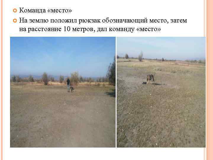 Команда «место» На землю положил рюкзак обозначающий место, затем на расстояние 10 метров, дал