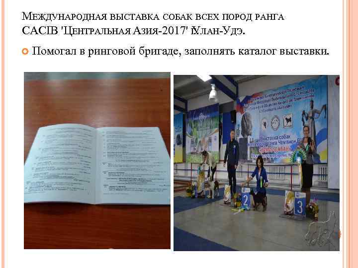 МЕЖДУНАРОДНАЯ ВЫСТАВКА СОБАК ВСЕХ ПОРОД РАНГА CACIB 'ЦЕНТРАЛЬНАЯ АЗИЯ-2017' Г. ЛАН-УДЭ. У Помогал в