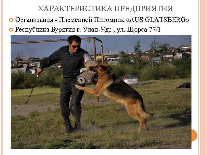 ХАРАКТЕРИСТИКА ПРЕДПРИЯТИЯ Организация - Племенной Питомник «AUS GLATSBERG» Республика Бурятия г. Улан-Удэ , ул.