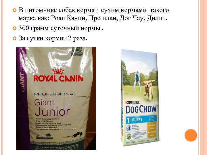 В питомнике собак кормят сухим кормами такого марка как: Роял Канин, Про план, Дог