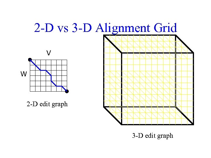 2 -D vs 3 -D Alignment Grid V W 2 -D edit graph 3